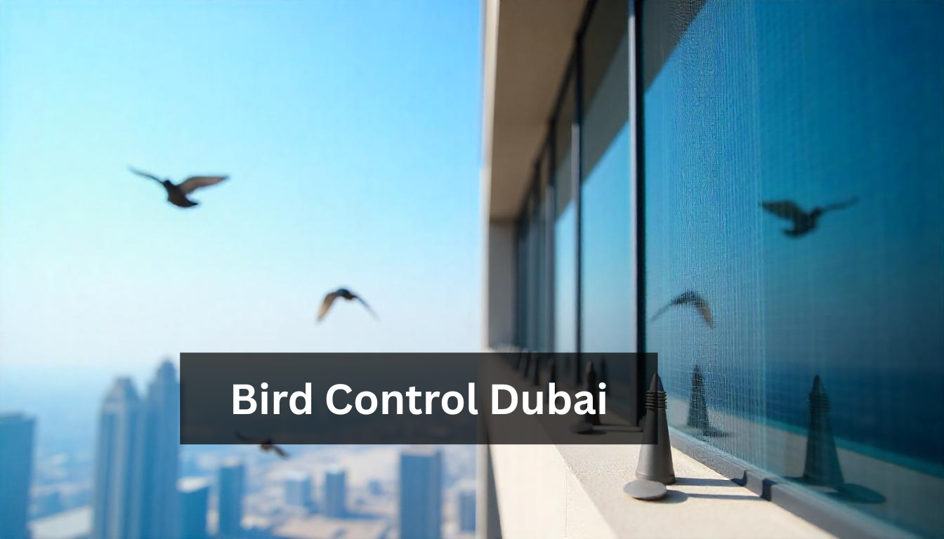 Professional Bird Control Dubai - Al Mandhar Pest Control
